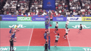 Brazil Wow GIF by Volleyball World