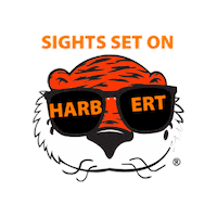 War Eagle School Sticker by Charlsie Etheredge