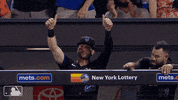 Happy Ny Mets GIF by New York Mets