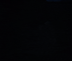 Fairly Local GIF by twenty one pilots