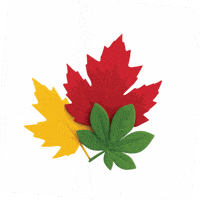 SWISOntario  GIF
