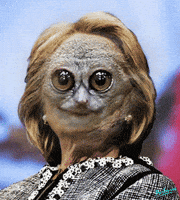 humor politics GIF by PEEKASSO