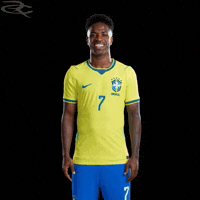 Fifa World Cup Brazil GIF by Respective
