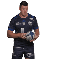 ColomiersRugby colomiersrugby Sticker
