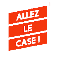 CASEVolley volley case saintetienne casevolley Sticker