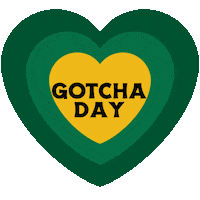 Gotcha Day Big Paws Sticker by Big Paws of the Ozarks