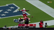 Arizona Cardinals No GIF by NFL