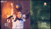 GIF by Giffffr