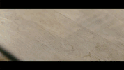 chinese food noodles GIF