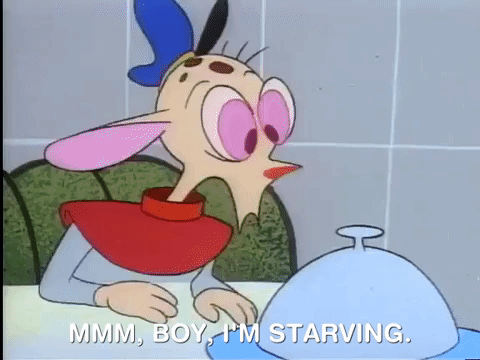 ren and stimpy nicksplat GIF