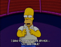 homer simpson GIF