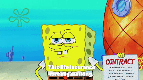 season 10 episode 6 GIF by SpongeBob SquarePants