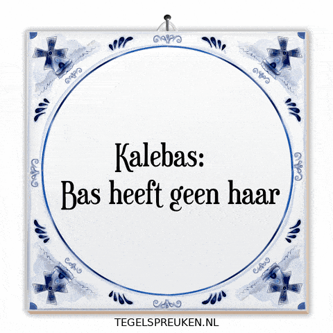 Nl Troost GIF by Tegelspreuken.nl