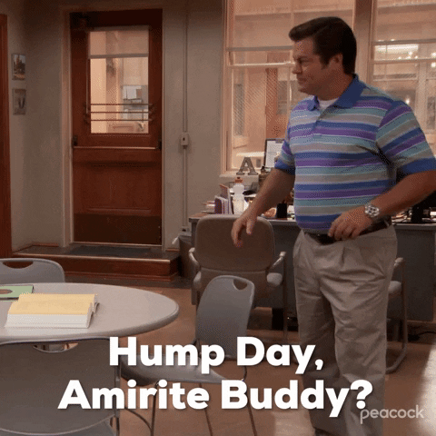 Parks and Recreation. Nick Offerman as cleanshaven Ron points with finger guns jovially as he says, "Hump day, amirite buddy?" which appears as text.