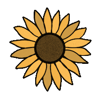 Flower Sun Sticker