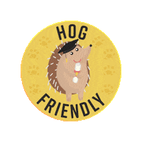 HogFriendly university hedgehog hfc hedgehogs Sticker