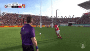 World Rugby Sport GIF by Rugby World Cup