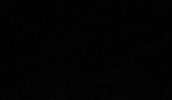 Rodin-Cars rodin cars rodin sintura GIF