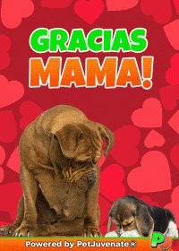 PetJuvenate petjuvenate henlo hooman fren love rescue dogs treatos and woofer for pupper GIF