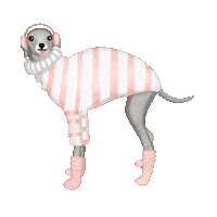 Snow Winter Sticker by Carol Fernandes