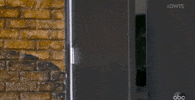 Surprise Dwts GIF by Dancing with the Stars