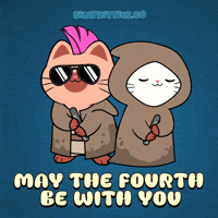 May The Fourth Be With You Star Wars GIF by Silly Kitties