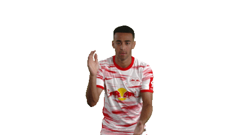 Motivate Lets Go Sticker by RB Leipzig
