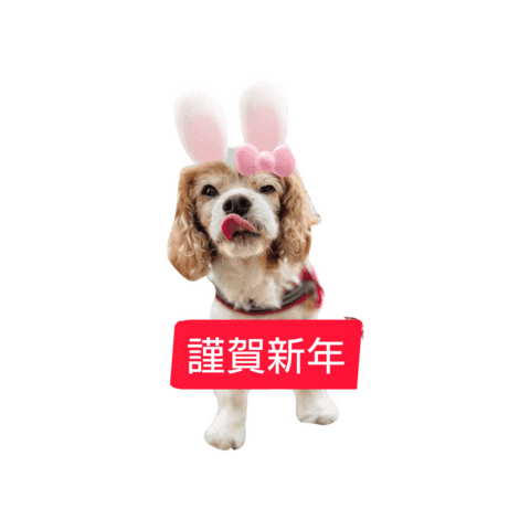Dogs Love Sticker