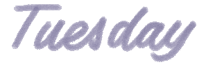 Typography Week Sticker