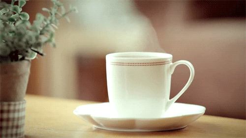 Video gif. A steaming mug resting on a plate on top of a table, next to a potted plant.