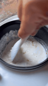 Mango Sticky Rice At Home | Rice Robot