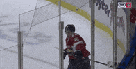 happy ice hockey GIF by NHL
