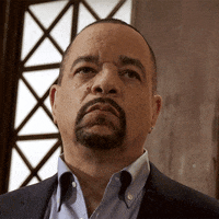 Season 19 Nbc GIF by Law & Order