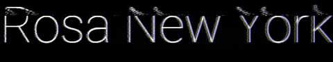 RosaNewYork giphygifmaker rosany rosanewyork GIF