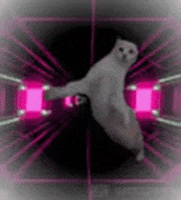 cappavia  GIF