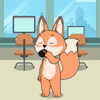 Laugh Lol GIF by Raposa Coffee