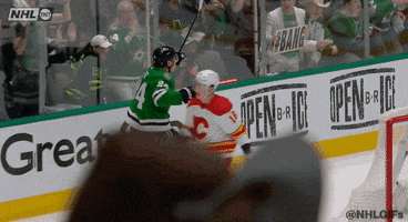 Ice Hockey Sport GIF by NHL