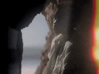 Sunlight GIF by Your Grandparents