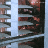 Kristy Swanson Horror GIF by Arrow Video