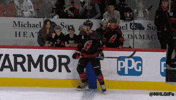 Ice Hockey Sport GIF by NHL
