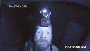 Tune In Haunted House GIF by Deadstream