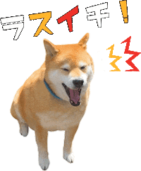 Shiba Maru Sticker by marutaro