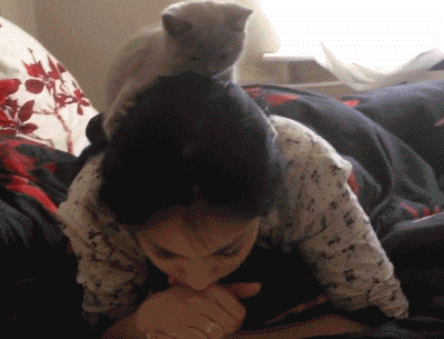 cat books GIF by Cheezburger