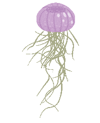 airplantshop airplant tillandsia airplants usine dair Sticker