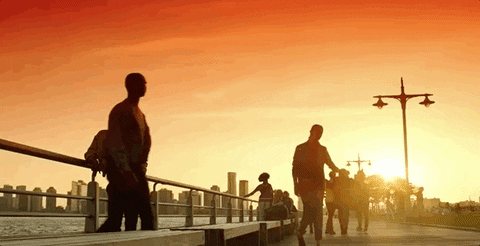 Law And Order Sun GIF by Wolf Entertainment