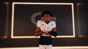 Georgia Tech Football Sport GIF by Georgia Tech Yellow Jackets