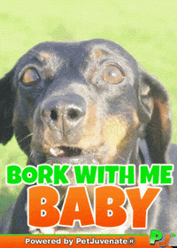 Henlo Hooman Fren GIF by PetJuvenate - PJ