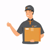 Delivery GIF by Express One