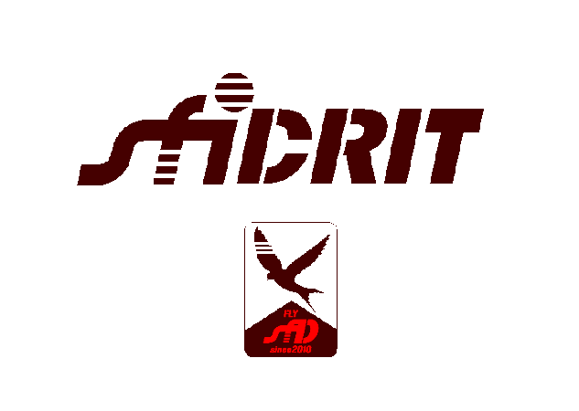 Mikki1203 giphyupload sfidare sficrit Sticker