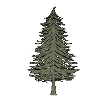 Camping Pine Trees Sticker